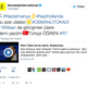 Screenshot of Amnesty International’s official Twitter account after it was hacked earlier tonight (Twitter)